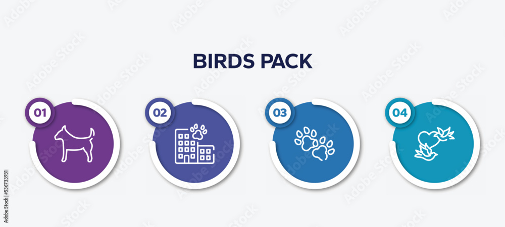 infographic element template with birds pack outline icons such as plain dog, hotel building, dog paw, birds couple vector.