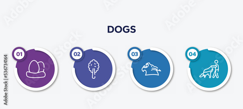 infographic element template with dogs outline icons such as egg, plain tree, werewolf, dog and a man vector.