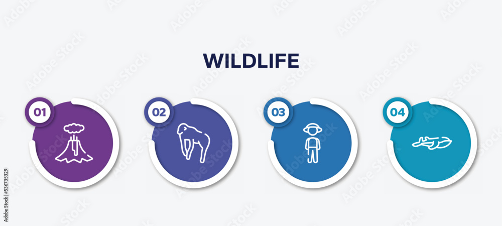 infographic element template with wildlife outline icons such as volcano, chimpanzee, guard, blue whale vector.