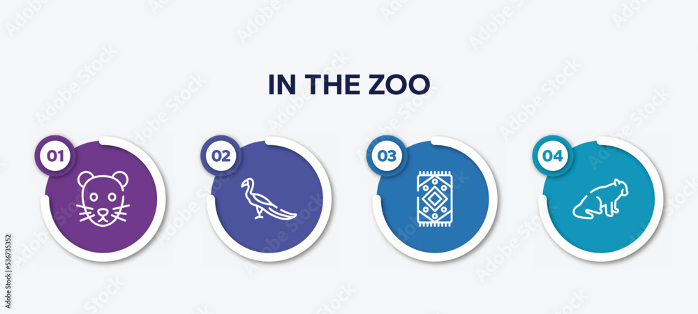 infographic element template with in the zoo outline icons such as rat, peacock, rug, red panda vector.