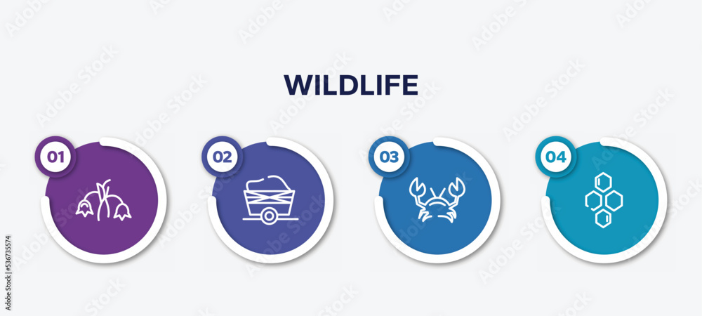 infographic element template with wildlife outline icons such as harebell, wagon, crab, hive vector.