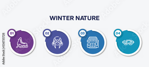 infographic element template with winter nature outline icons such as ice skate, walrus, gift shop, safety glasses vector.