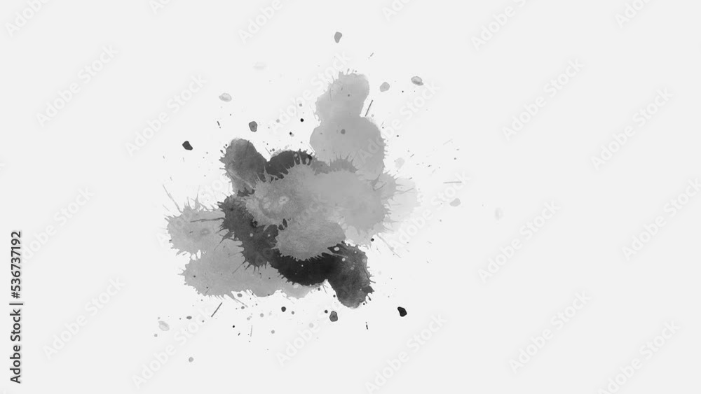 Ink Drops Transition on White Background. Ink splatters transition animation. Ink brush stroke transition. Ink splash. Abstract inkblot, splat, fluid art, overlay, alpha matte composition. Ink Drops Transition on White Background. Ink splatters transition animation. Ink brush stroke transition. Ink splash. Abstract inkblot, splat, fluid art, overlay, alpha matte composition.