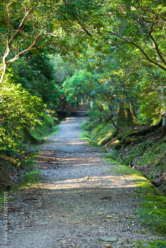 奈良の古道の風景