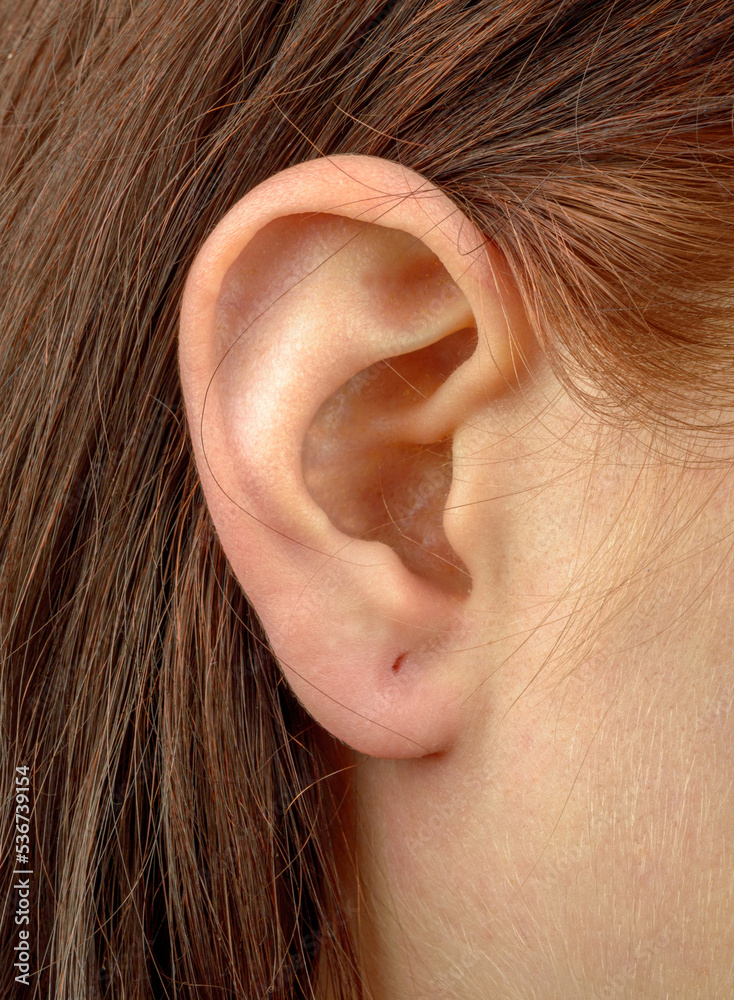 close-up of women's ear with earring piercing