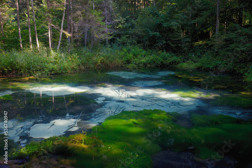 Saula cold pure fresh water blue spring  Estonia  Europe. Beautiful natural wonder in the woods by the hiking trail. Believed to be ancient offering site. Natural wonder. Siniallikad.