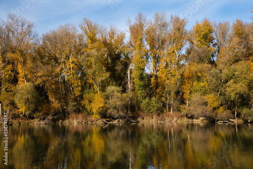 Landscape with autumn trees on the shore of a river, with reflection in the water, a sunny day, in Navarra, Spain, horizontal