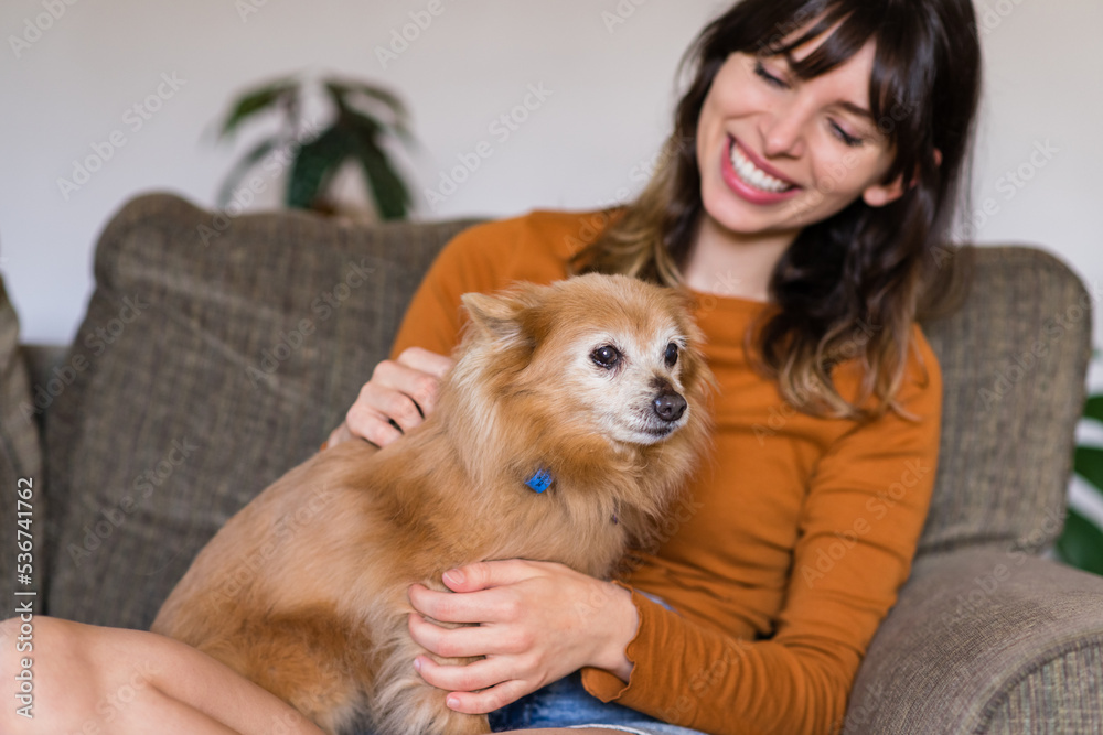 woman sitting on sofa with her little dog woman sitting on sofa with her little dog