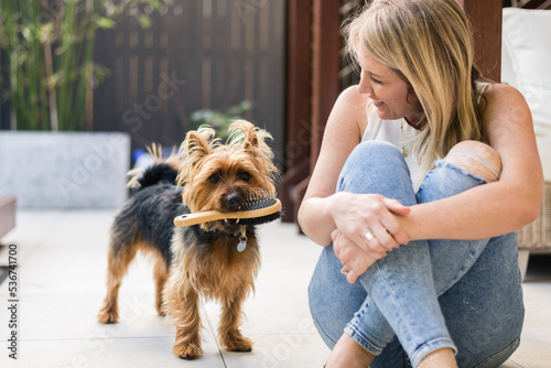 woman sitting with her dog who is holding a dog grooming brush in his mouth photo