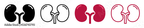 Set of human kidney vector icons. Silhouette with internal organs. Outline icons. Vector 10 EPS. photo
