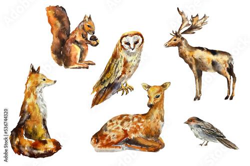 Watercolor illustration animals autumn sparrow fox squirrel owl fawn deer elk mammal