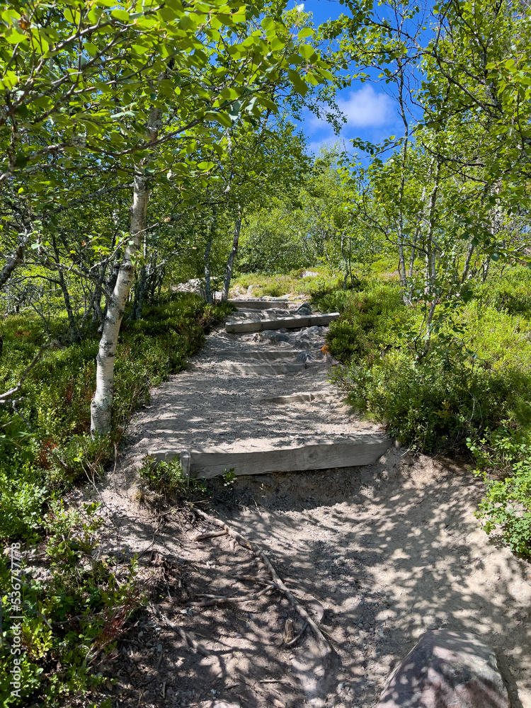 Wanderweg im Nationalpark Fulufjället, Dalarna, Schweden 