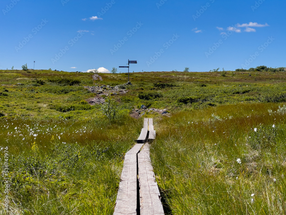 Obraz premium Wanderweg im Fulufjället Nationalpark in Schweden