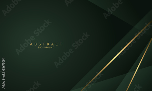 dark green luxury premium background and gold line.