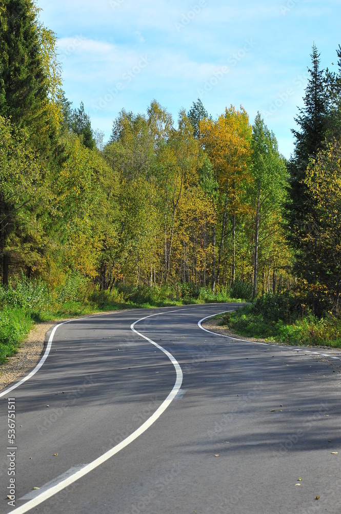 road in autumn forest road in autumn forest