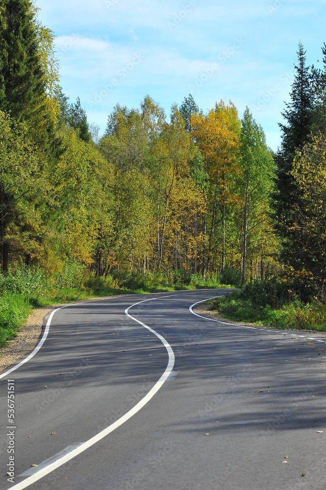 road in autumn forest