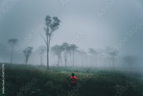 Redshirt tourist in Phu soi dao national park of Thailand. Phu soi dao national park, Uttaradit, Phitsanulok, North of Thailand. Woman in fog in the pine forest and the mist of the rain.  photo