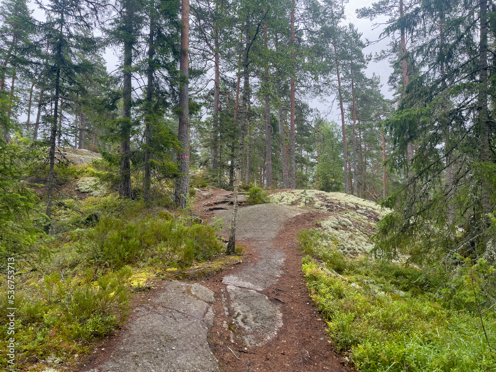 Fototapeta premium Tiveden Nationalpark