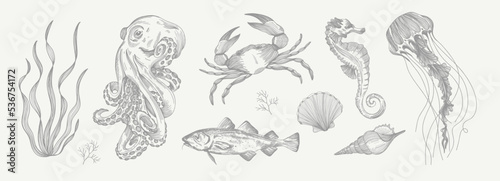 Octopus, seaweed, crab, trout, fish, shells, pearl, seahorse, jellyfish. Set of vector illustrations. Pencil sketch. Engraving style. Tattoo. Collection of drawn elements.