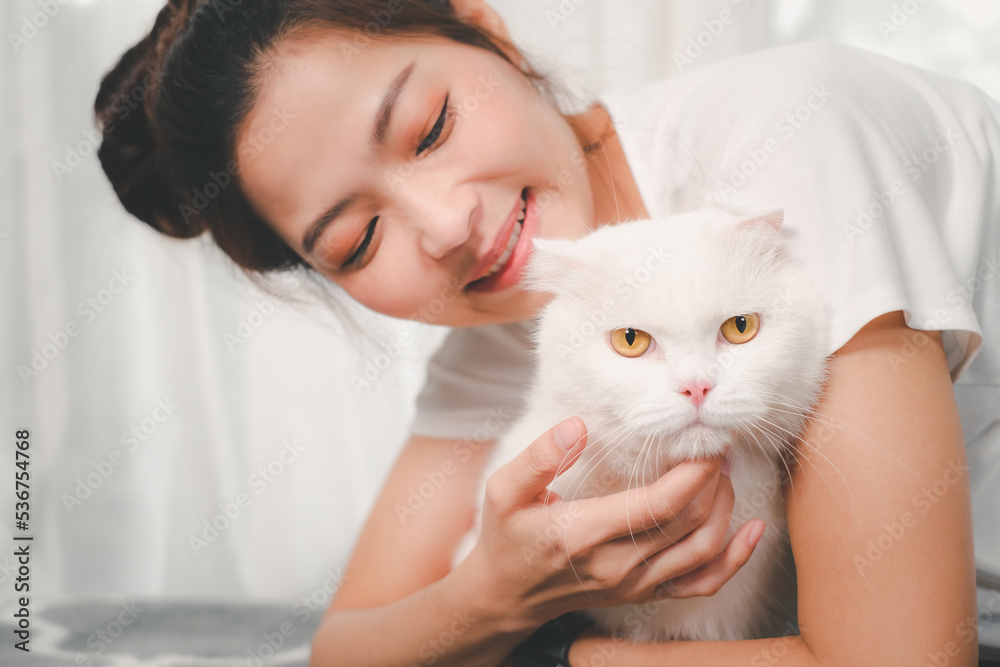Young asian woman playing with white cat.selective focus on cat. Young asian woman playing with white cat.selective focus on cat.