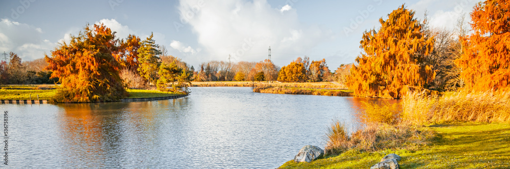 Island with colored bald cypress trees and artificial pond in the Parc Floral in Bordeaux, France Island with colored bald cypress trees and artificial pond in the Parc Floral in Bordeaux, France