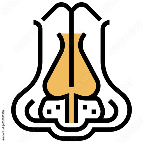 Nose icon