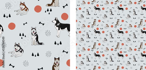 Seamless dog pattern, cute. Square format texture, t-shirt, poster, packaging, textile, socks, textile, fabric, decoration, wrapping paper. Trendy hand-drawn husky dogs, siberian breed. Gift box