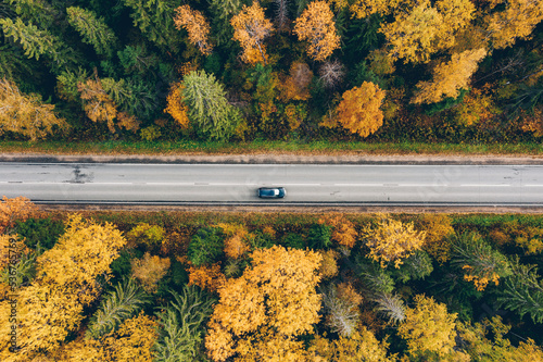 Fototapeta Naklejka Na Ścianę i Meble -  Aerial top view of road with car through fall forest with colorful leaves. A