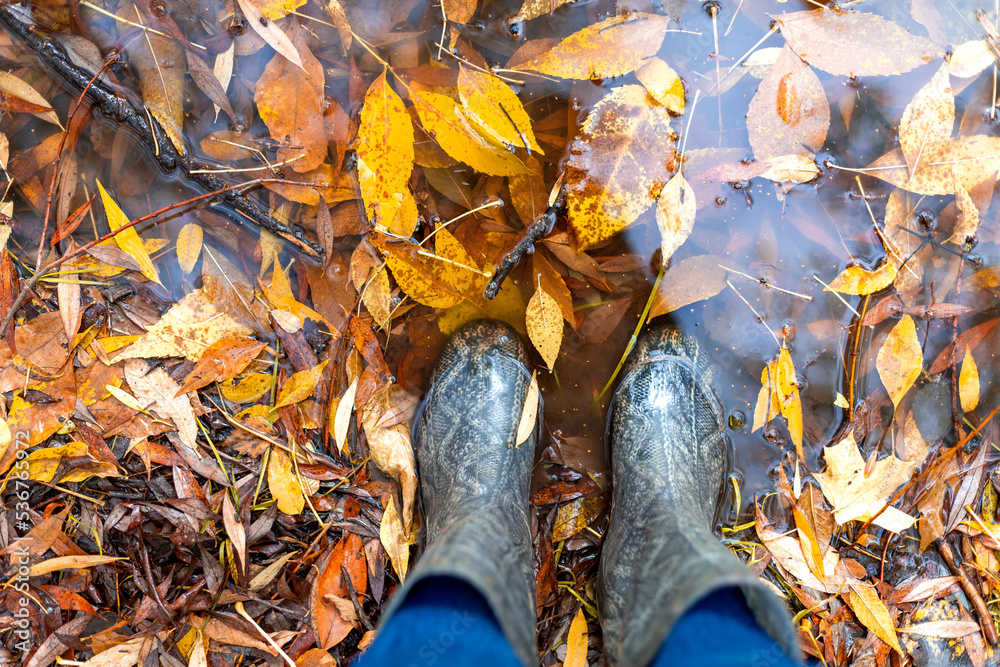 Feet in gray rubber boots are standing in a puddle where a lot of ...