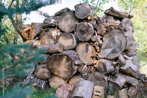 Feuerholz gesammelt für den Winter
