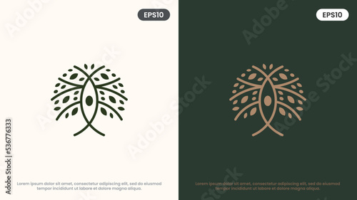 Olive Tree vector line icon. Nature trees vector illustration logo. Modern design.
