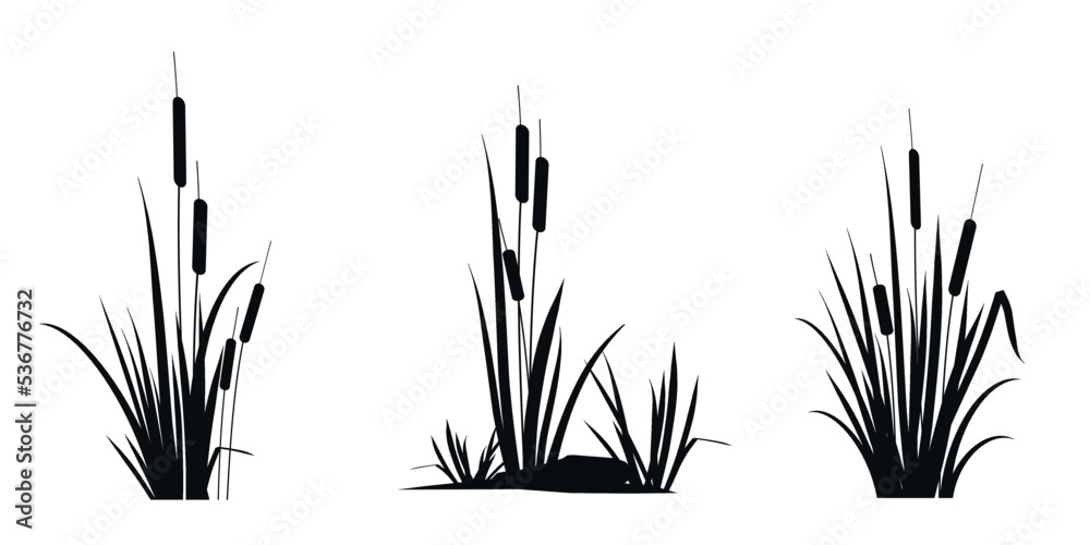 Cattail reeds - a set of silhouette drawings isolated on a white background. Vector icons illustration. - obrazy, fototapety, plakaty 