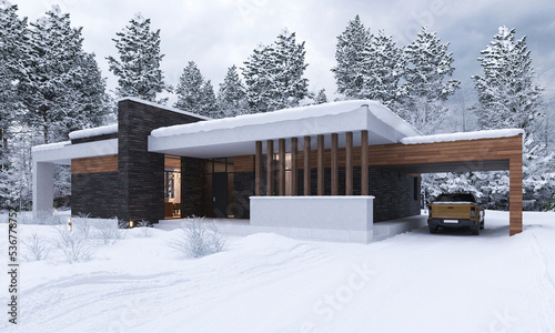 3D visualization of a modern house with a canopy. House in the winter in the snow © House