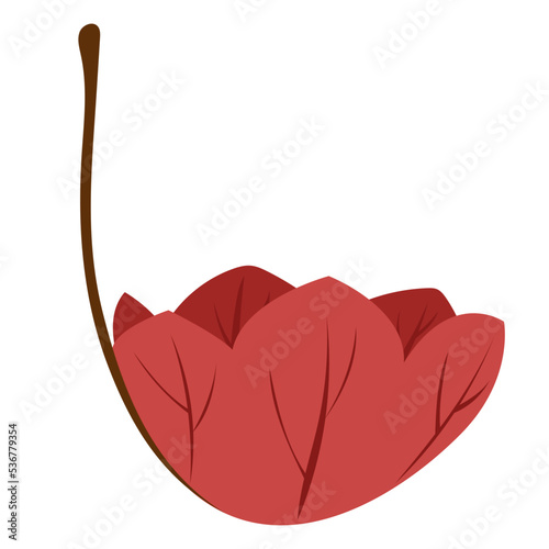 Herbst Blatt