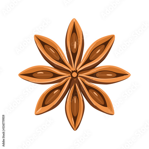 Vector star anise isolated on white. Cartoon illustration of  fragrant spice. Food icon.