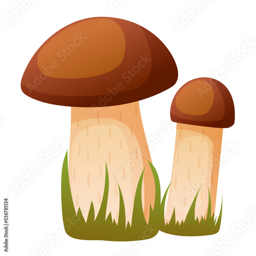 Two realistic edible mushrooms isolated on white background. Image of eatable porcini boletus growing near green grass. Brown cap organic fungi. Wild delicious ingredient for food. Vector illustration