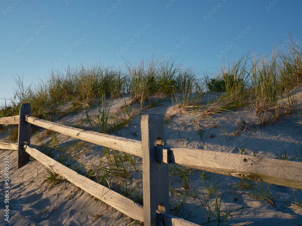store fence in late afternoon light at a New Jersey beach to protect the sand dunes