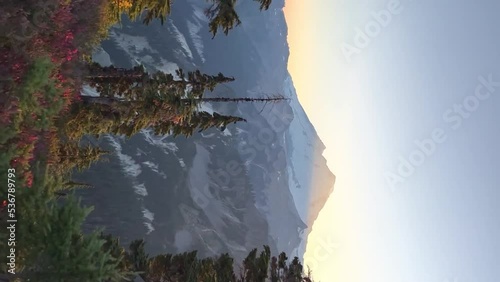 Walking in the first person in the mountains of Olympic National Park, Washington USA. vertical video. photo
