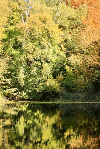 Bright autumn in the old park