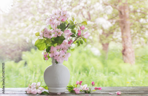  apple flowers in white vase on background spring garden