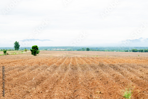 vacant land before planting beautiful Landscape