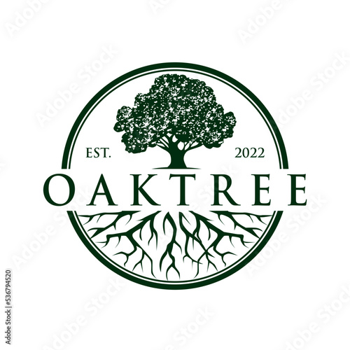 Green oak tree logo stock vector