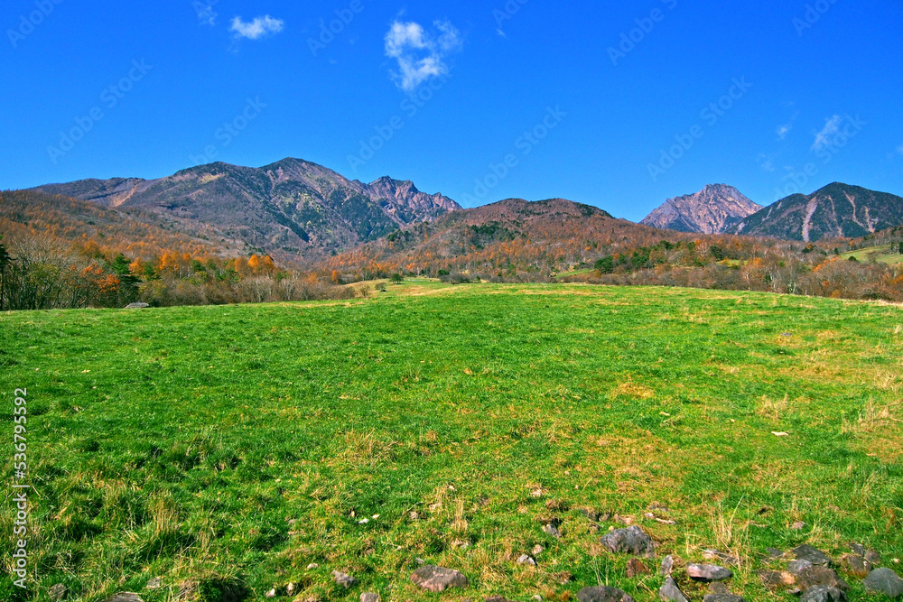 Obraz premium 牧場から眺める八ヶ岳(八ヶ岳横断歩道トレイルコース)