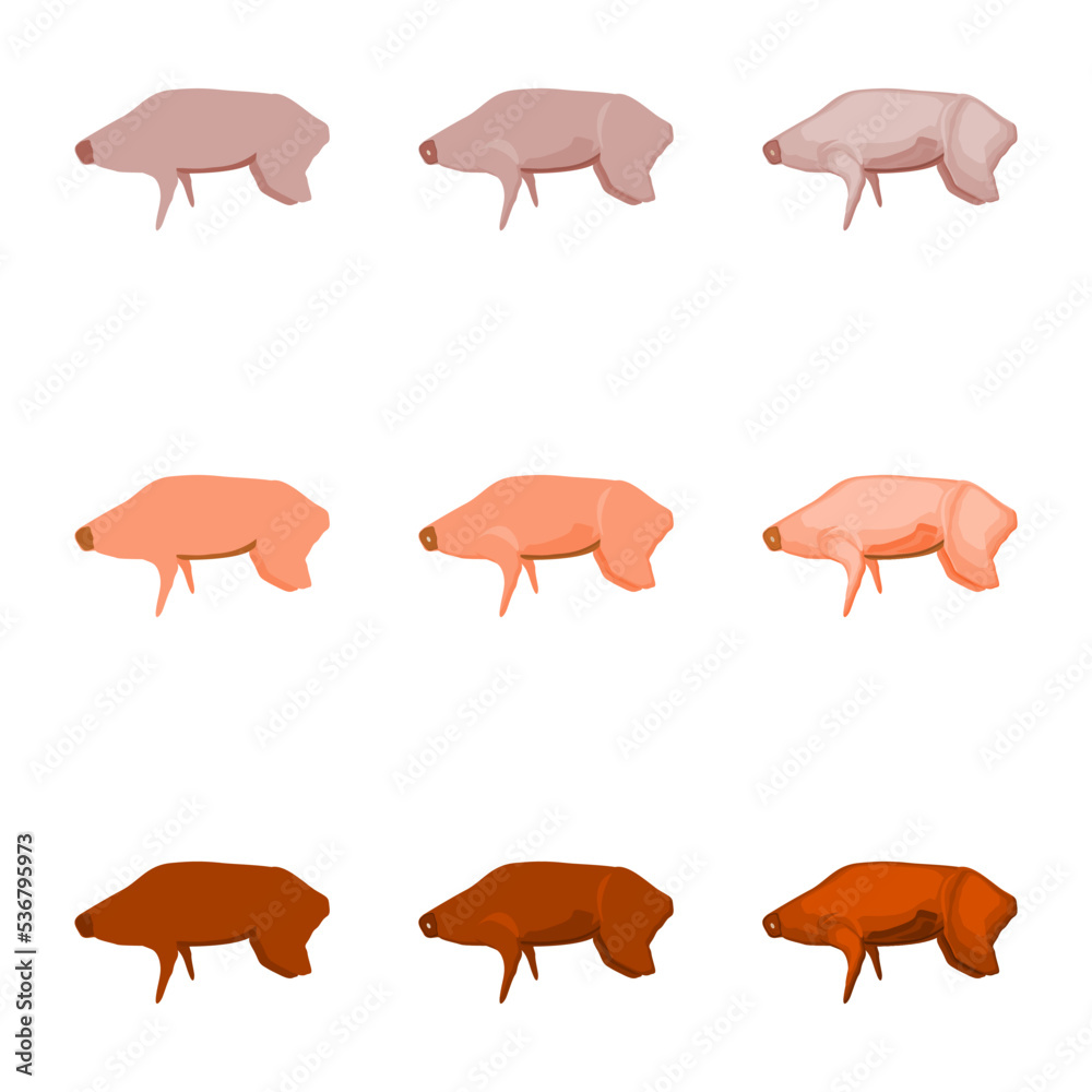A vector drawn rabbit meat illustration with various colors and amount of details