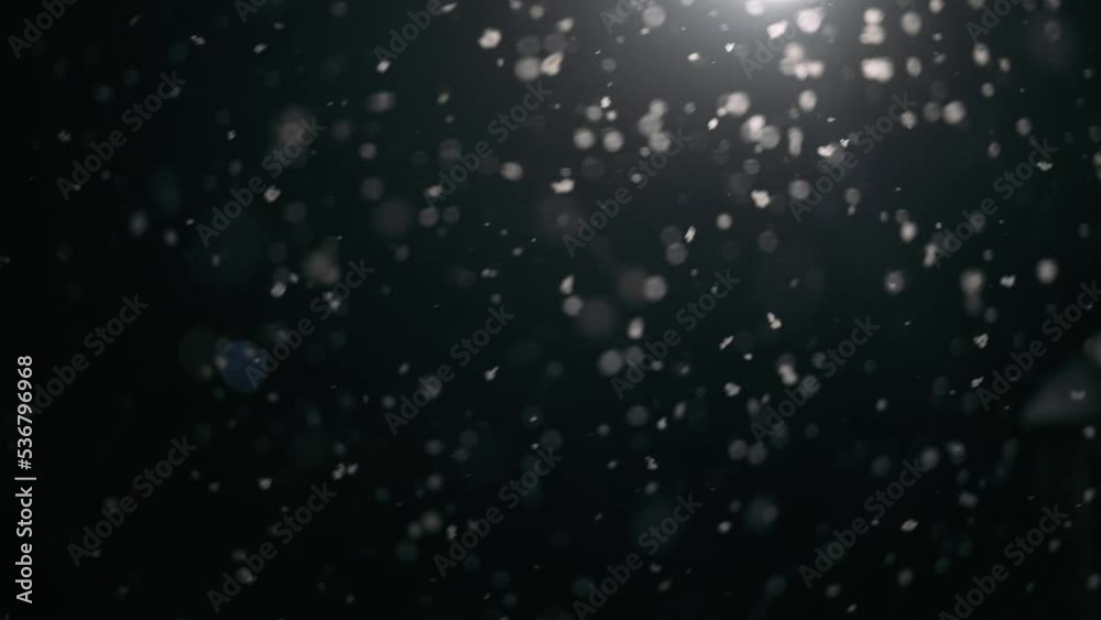 Cinematic shot of falling snow on a black background. Falling snow in the light of a lantern. Slowly falling snowflakes in the light of a lantern. Cinematic shot of falling snow on a black background. Falling snow in the light of a lantern. Slowly falling snowflakes in the light of a lantern.