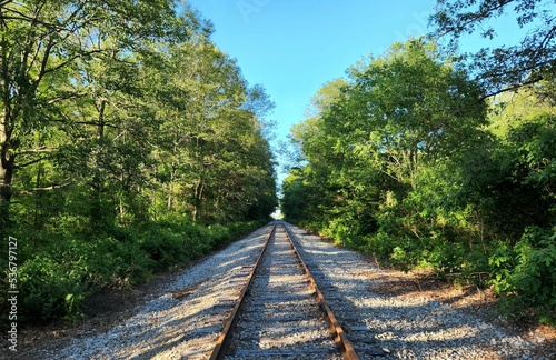 Railtrain in Michigan photo