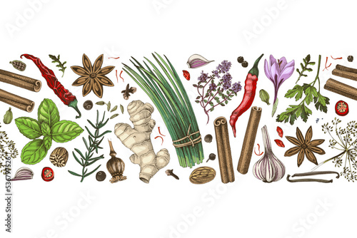 Seamless border with spices on white background