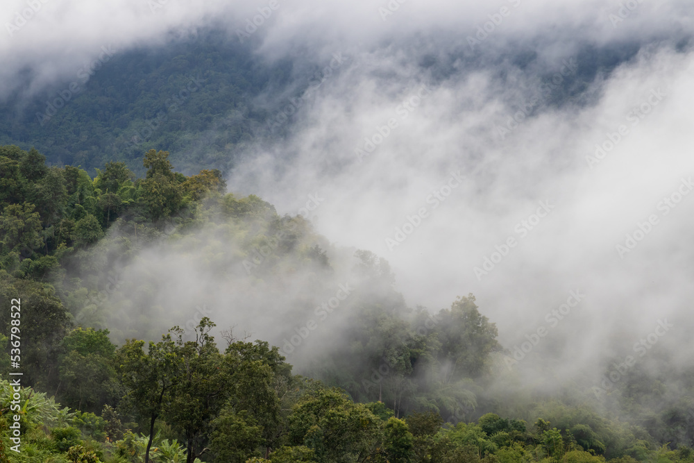 Fog in the morning forest with green mountains at Huai Kub Kab, Mae Taeng, Chiang Mai, Thailand. Fog in the morning forest with green mountains at Huai Kub Kab, Mae Taeng, Chiang Mai, Thailand.