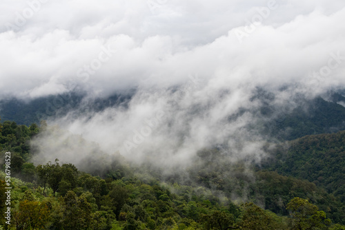 Fog in the morning forest with green mountains at Huai Kub Kab, Mae Taeng, Chiang Mai, Thailand. © pjjaruwan