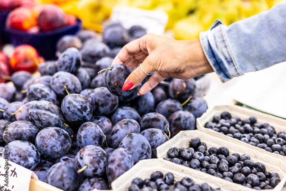 Female hand picking a plum from a pile on offer in the fruit department of a grocery store Female hand picking a plum from a pile on offer in the fruit department of a grocery store
